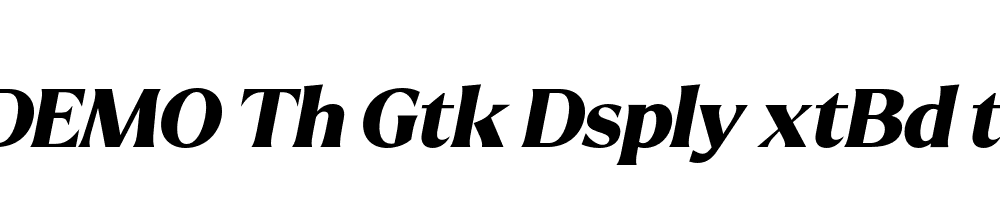 FSP DEMO Th Gtk Dsply xtBd t Italic