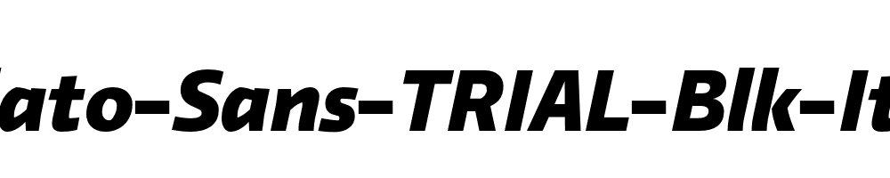 Relato-Sans-TRIAL-Blk-Italic