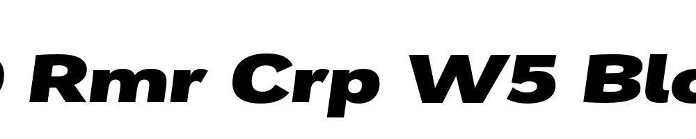 FSP DEMO Rmr Crp W5 Blck tlc Italic