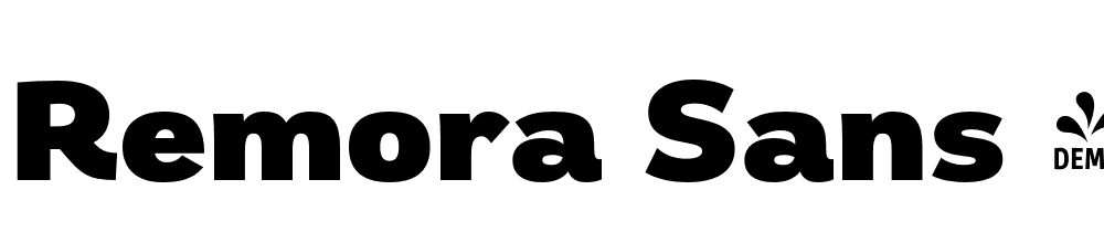 Remora Sans 3