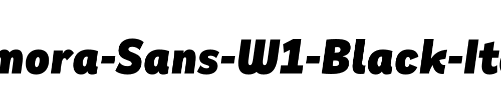 Remora-Sans-W1-Black-Italic