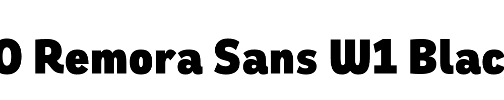 FSP DEMO Remora Sans W1 Black Regular