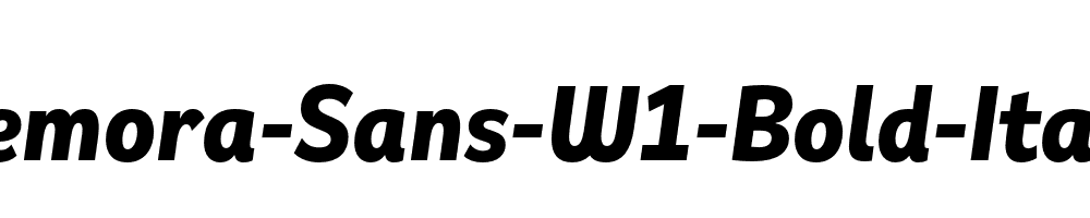 Remora-Sans-W1-Bold-Italic