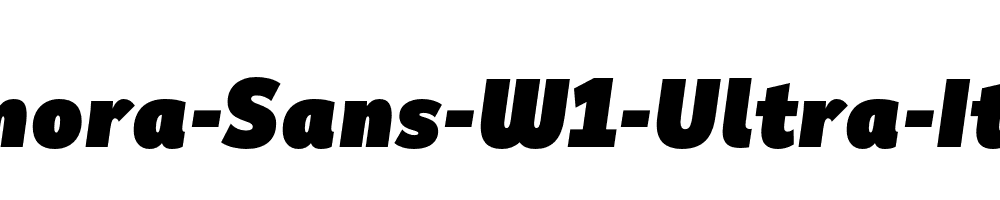 Remora-Sans-W1-Ultra-Italic