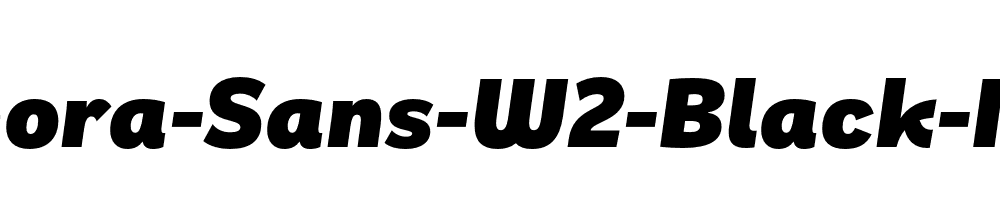 Remora-Sans-W2-Black-Italic