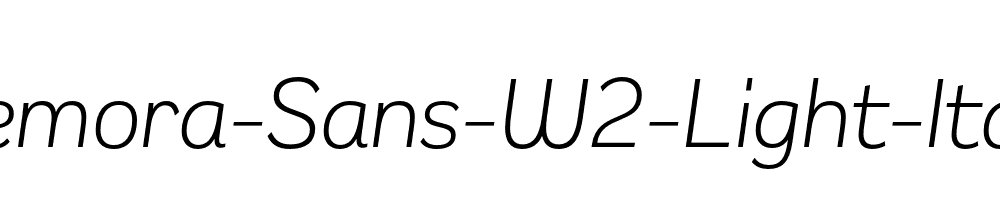 Remora-Sans-W2-Light-Italic