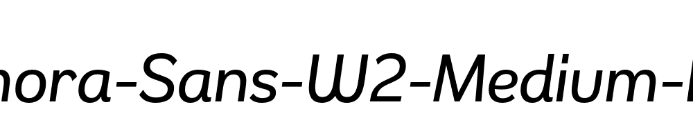 Remora-Sans-W2-Medium-Italic