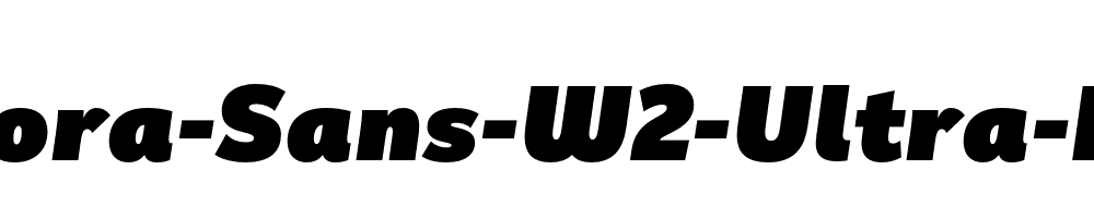 Remora-Sans-W2-Ultra-Italic