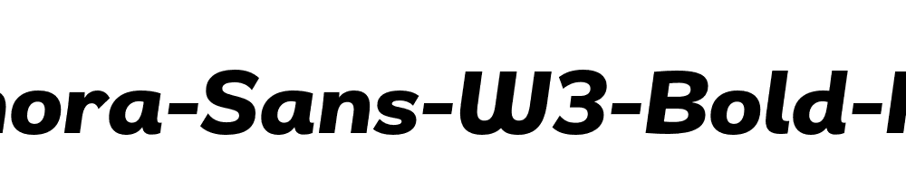 Remora-Sans-W3-Bold-Italic