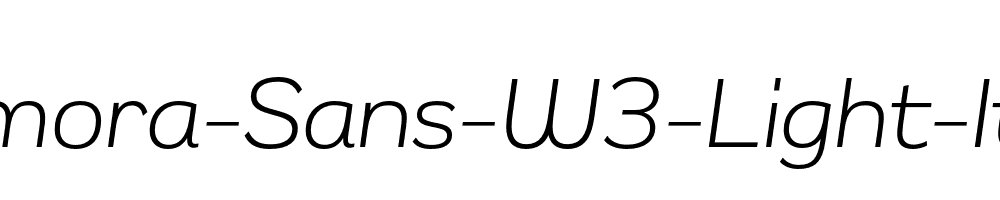 Remora-Sans-W3-Light-Italic