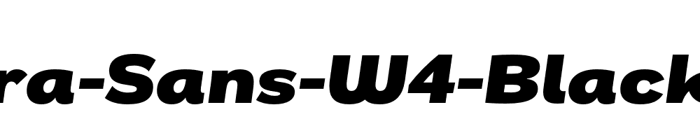 Remora-Sans-W4-Black-Italic