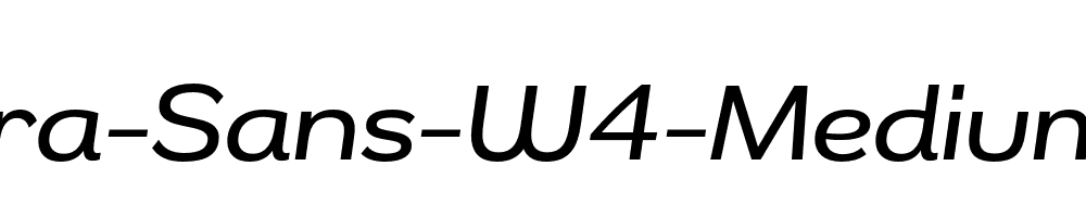 Remora-Sans-W4-Medium-Italic