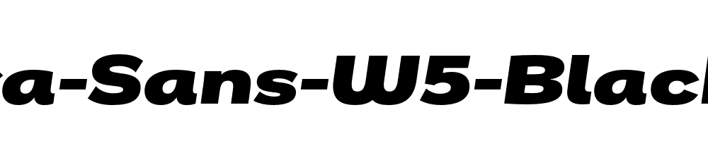 Remora-Sans-W5-Black-Italic