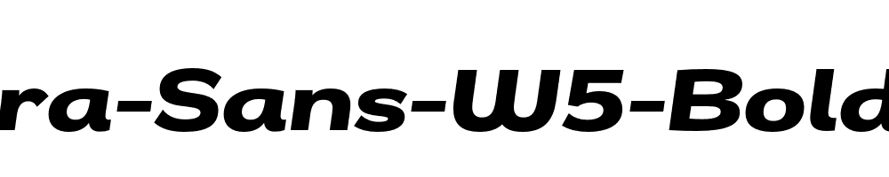 Remora-Sans-W5-Bold-Italic