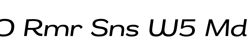 FSP DEMO Rmr Sns W5 Mdm tlc Italic