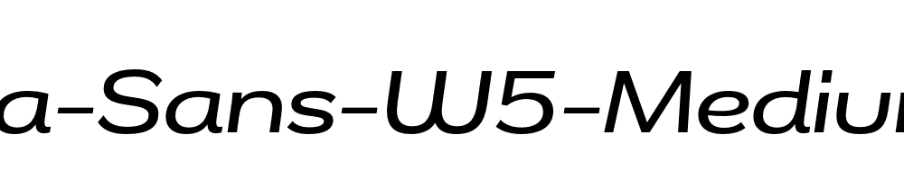 Remora-Sans-W5-Medium-Italic