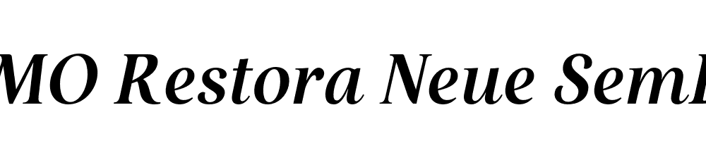 FSP DEMO Restora Neue SemBd Italic