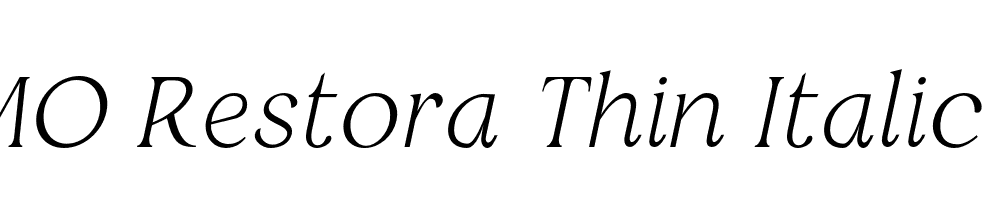 FSP DEMO Restora Thin Italic Regular