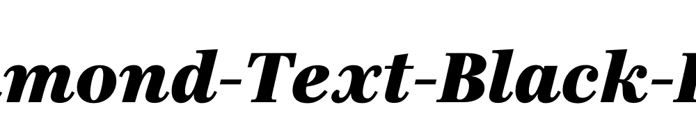 Richmond-Text-Black-Italic