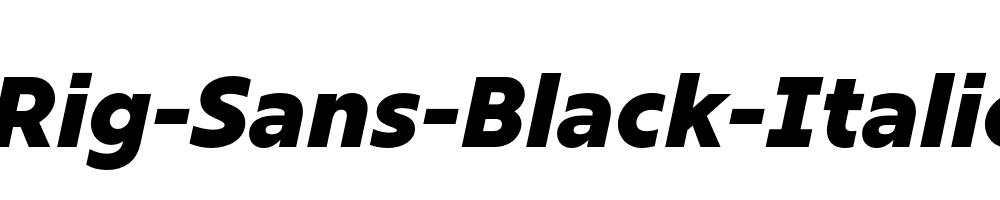 Rig-Sans-Black-Italic