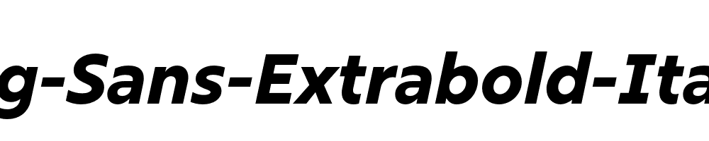 Rig-Sans-Extrabold-Italic