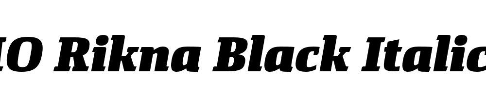 FSP DEMO Rikna Black Italic Regular