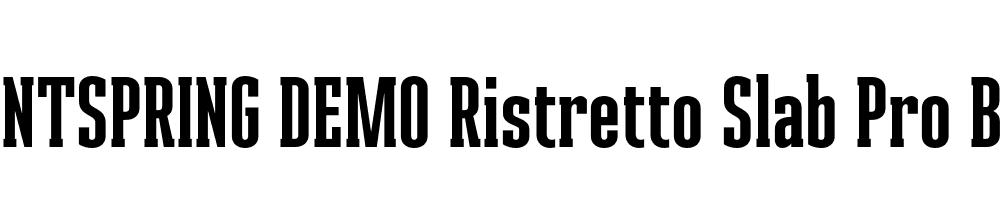  DEMO Ristretto Slab Pro Bold