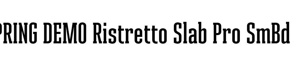  DEMO Ristretto Slab Pro SmBd Regular