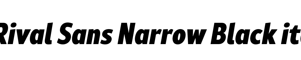  DEMO Rival Sans Narrow Black italic Regular