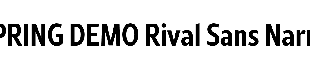  DEMO Rival Sans Narrow Bold