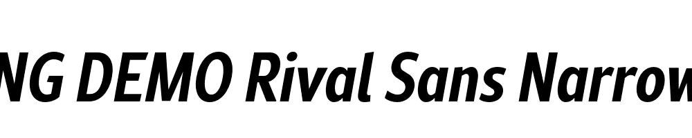  DEMO Rival Sans Narrow Bold Italic