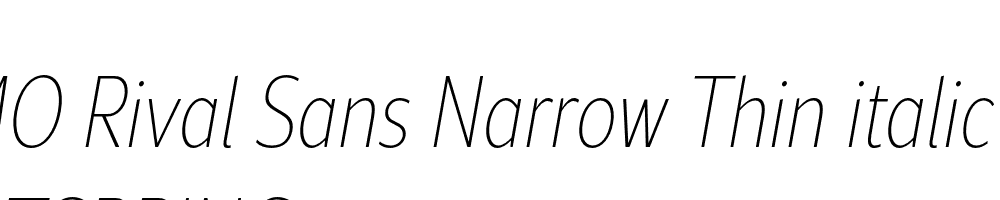  DEMO Rival Sans Narrow Thin italic Regular