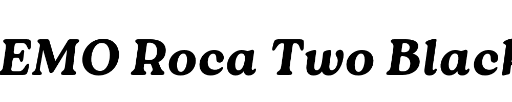 FSP DEMO Roca Two Black Italic