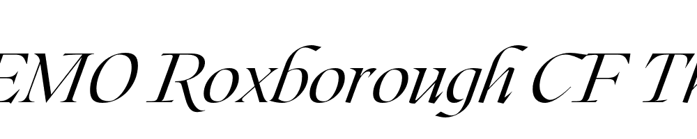 FSP DEMO Roxborough CF Thin Italic