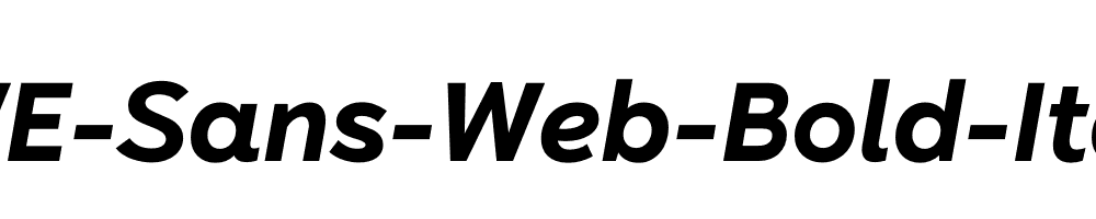 RWE-Sans-Web-Bold-Italic