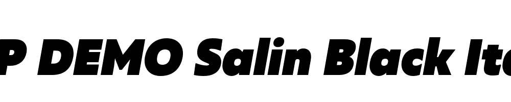 FSP DEMO Salin Black Italic