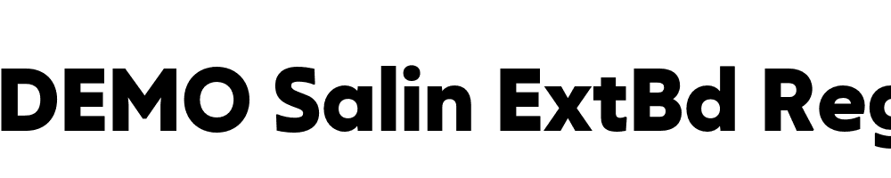 FSP DEMO Salin ExtBd Regular