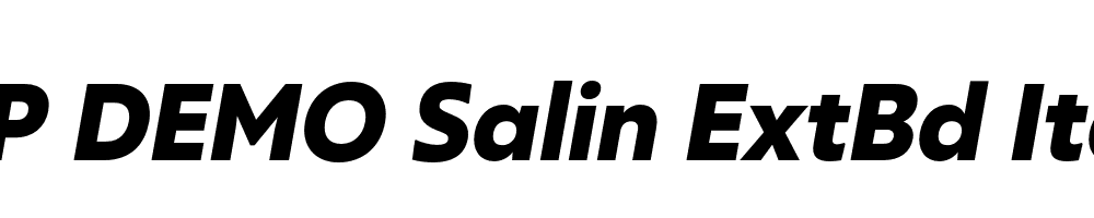 FSP DEMO Salin ExtBd Italic