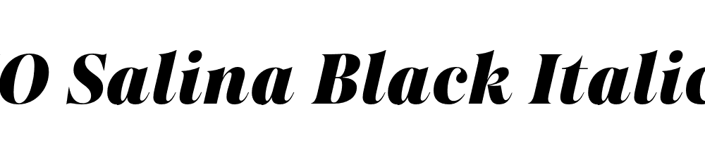 FSP DEMO Salina Black Italic Regular