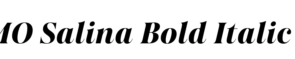 FSP DEMO Salina Bold Italic Regular