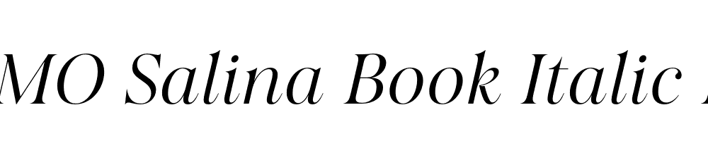 FSP DEMO Salina Book Italic Regular