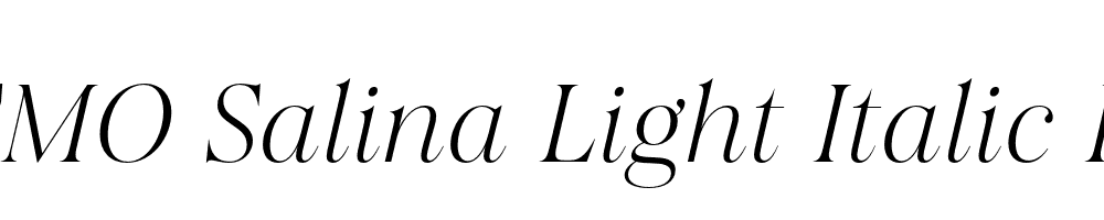 FSP DEMO Salina Light Italic Regular