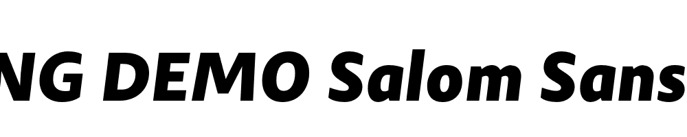  DEMO Salom Sans Black Italic