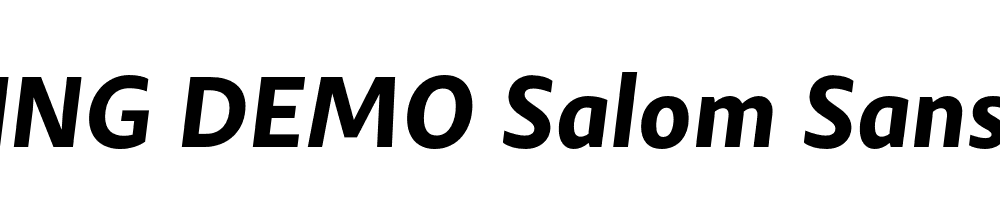  DEMO Salom Sans Bold Italic