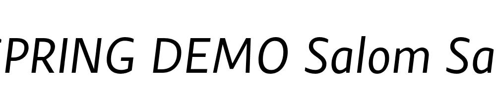  DEMO Salom Sans Italic