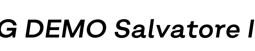  DEMO Salvatore Italic Regular