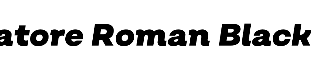  DEMO Salvatore Roman Black Italic Regular