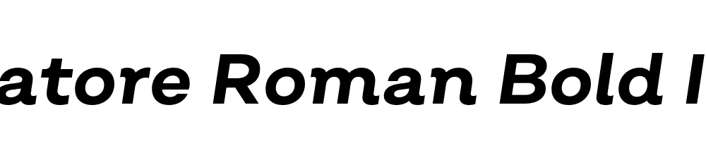  DEMO Salvatore Roman Bold Italic Regular