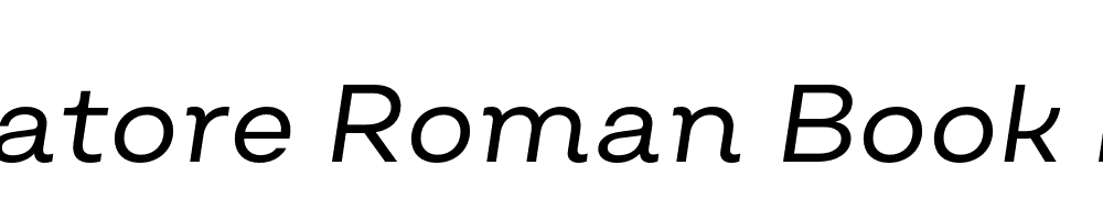  DEMO Salvatore Roman Book Italic Regular