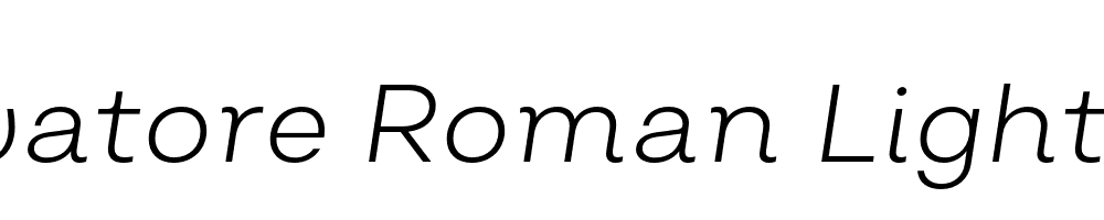  DEMO Salvatore Roman Light Italic Regular